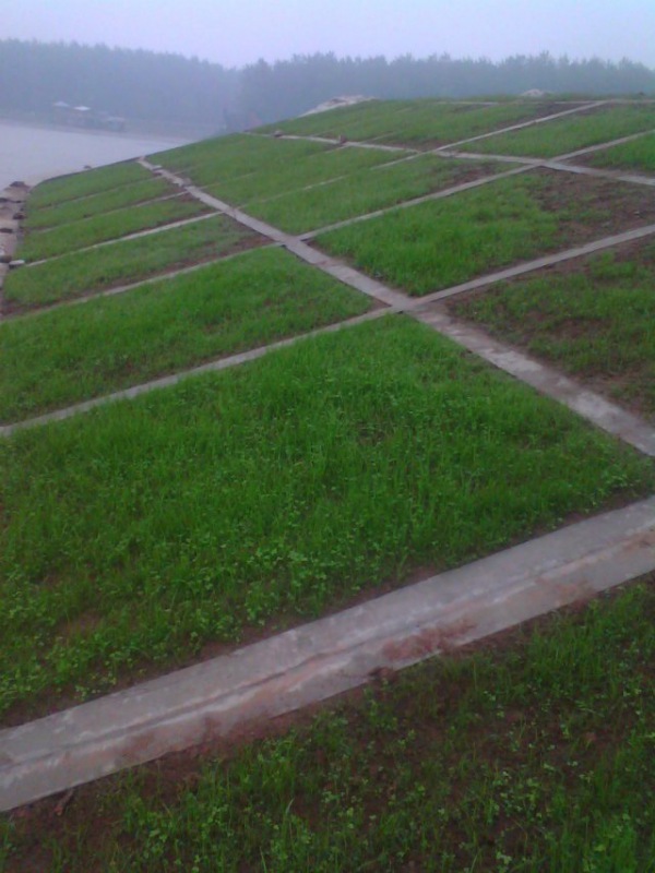 湖南長(zhǎng)沙月亮島生態(tài)混凝土