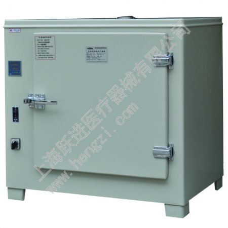 上海躍進電熱恒溫鼓風干燥箱GZX-GF101-3-S